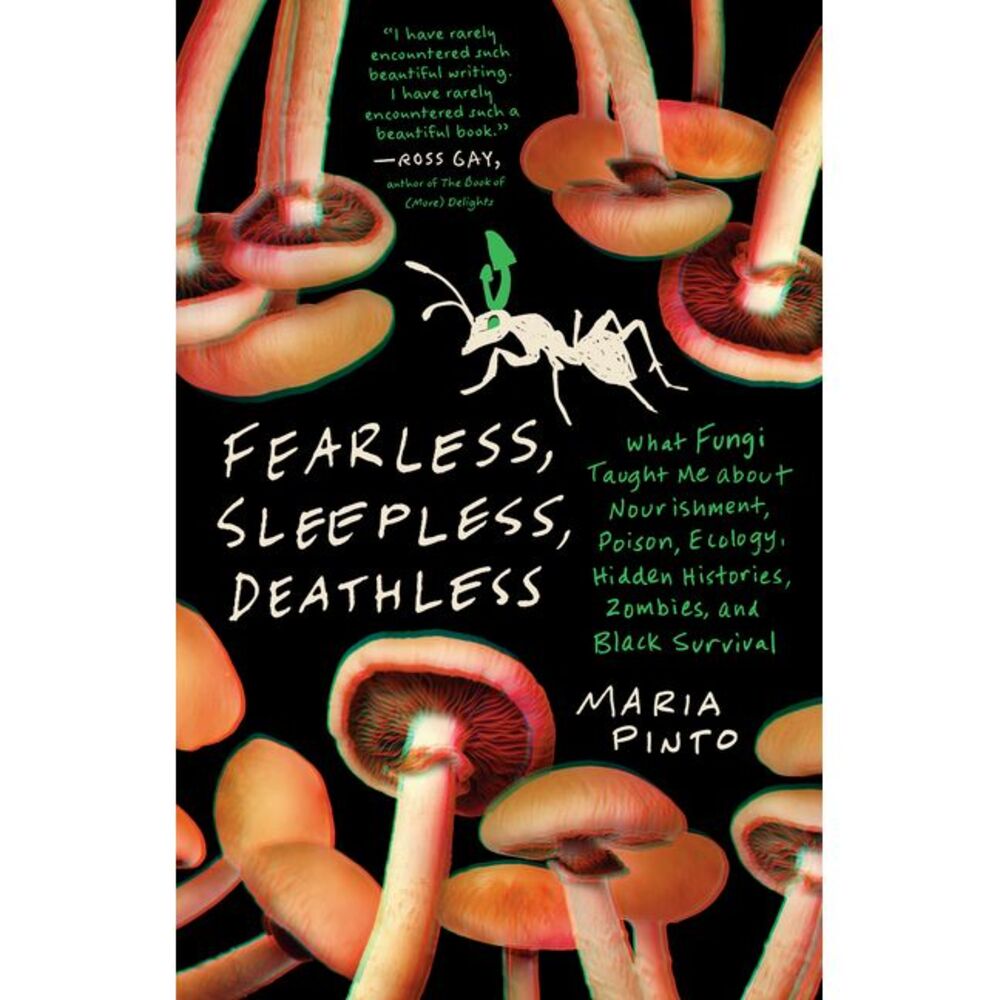 Fearless, Sleepless, Deathless: What Fungi Taught Me about Nourishment, Poison,